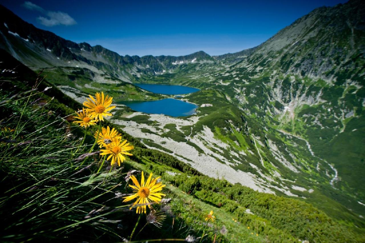 Bachledowka Zakopane